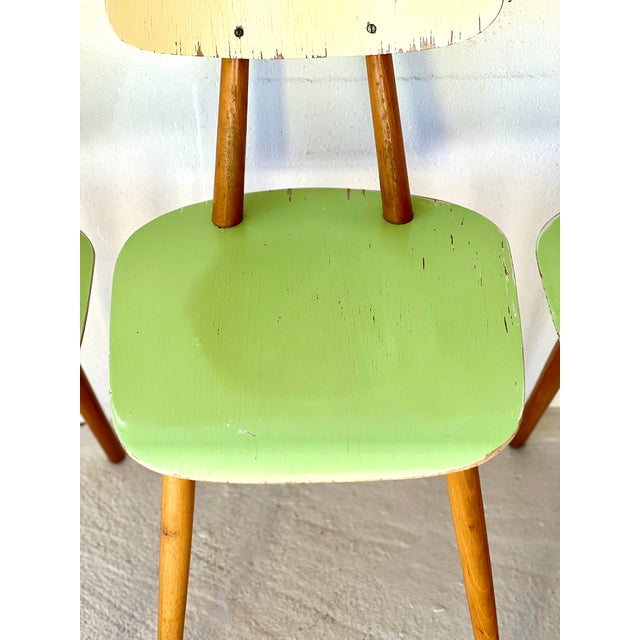 Dining Chairs from Ton, 1960, Set of 4 For Sale - Image 17 of 18