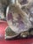 1920s Antique Gilded Foo Lions - a Pair For Sale - Image 5 of 12