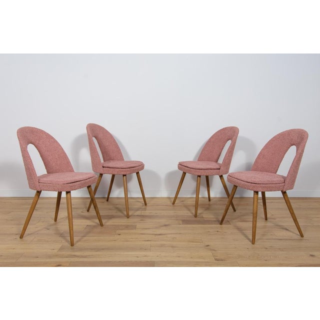 Set of 4 vintage dining chairs by Antonin Suman for Tatra in the 1960s. Wooden elements cleaned, painted with an oak-...