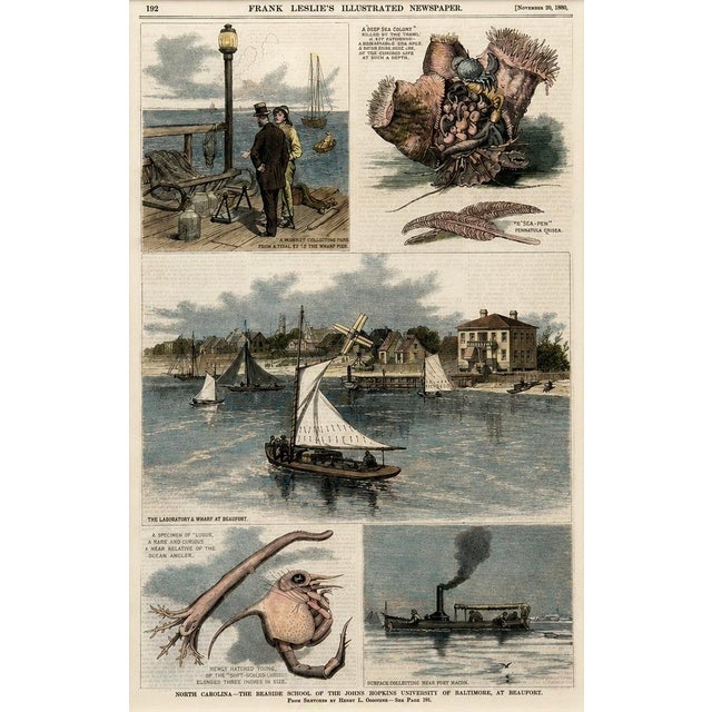 North Carolina—The Seaside School of the Johns Hopkins University of Baltimore, at Beaufort, Original Print, 1880 For Sale