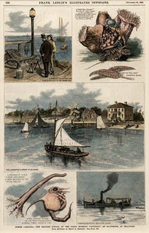North Carolina—The Seaside School of the Johns Hopkins University of Baltimore, at Beaufort, Original Print, 1880