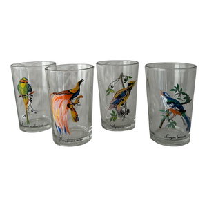 Palm Springs Chic Exotic Bird Juice Glasses- Set of 4
