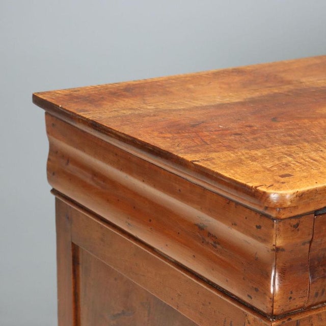 19th Century Carlo X Walnut Chest of Drawers, Italy For Sale - Image 4 of 10