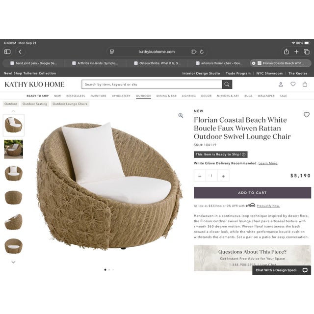Set of Arteriors Home Florian Outdoor Swivel Lounge Chairs Retail $5200 Ea For Sale - Image 16 of 16
