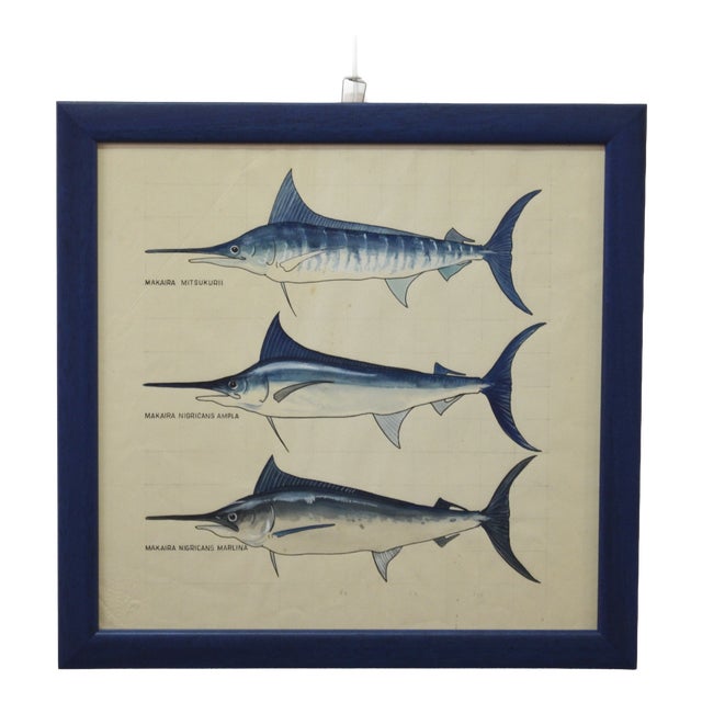 After Walter Stackpool, Marlin, 1970s, Gouache on Paper, Framed For Sale