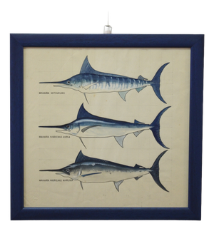 After Walter Stackpool, Marlin, 1970s, Gouache on Paper, Framed