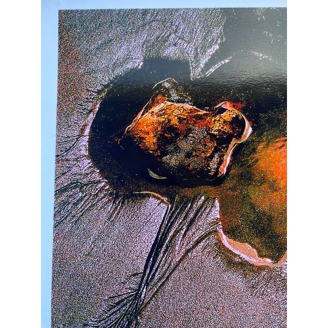 Beach Creature, Drake's Beach, Point Reyes Original Artwork by Clifford Baker For Sale In San Francisco - Image 6 of 10