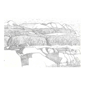 1987 Robert Angeloch Monhegan Maine Coast Drawing