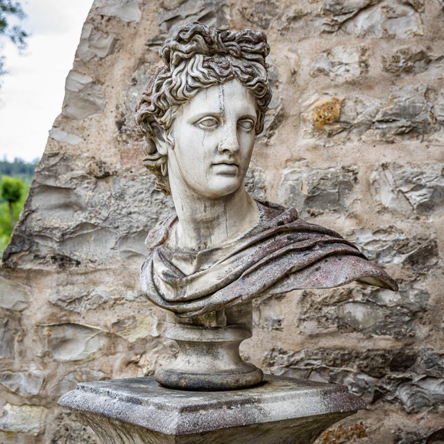 Gray Unknown, Bust of the Apollo Belvedere, 2000s, Stone For Sale - Image 8 of 8