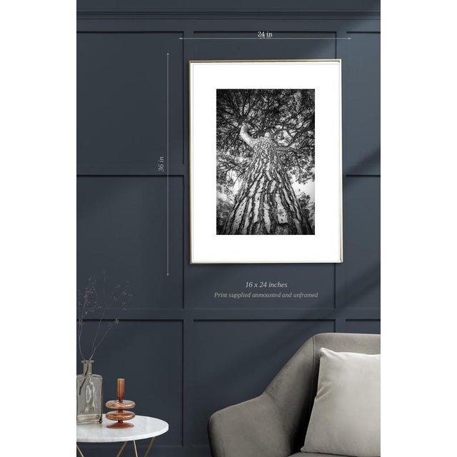 Contemporary Paul Cooklin, Rome Italy 00266, Edition of 50 For Sale - Image 3 of 5