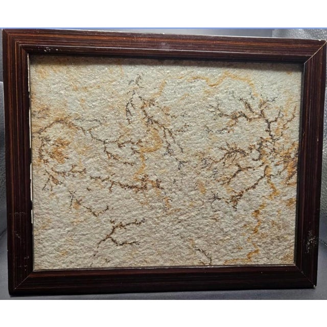 Antique Brazilian Sandstone Framed Plaque Dendrite Fossil Ferns Miniature Geologic Fern For Sale - Image 13 of 14