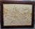 Antique Brazilian Sandstone Framed Plaque Dendrite Fossil Ferns Miniature Geologic Fern For Sale - Image 13 of 14
