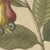 Bertuch, Cashew Apple and Nut with Acacia, 1805, Print For Sale - Image 4 of 12