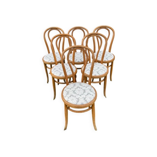 Bistro Chairs in Bent Beechwood and Damask Fabric from Fischel, 1890s For Sale - Image 10 of 10