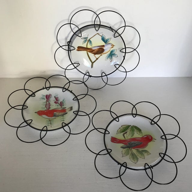 Hand Painted Birds on Porcelain Plates in Floral Pattern Wire Frame - Set of 3 For Sale - Image 13 of 13