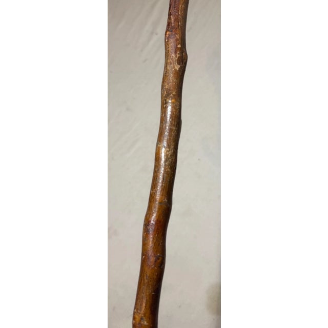 Brown Antique 19th Century Hand Carved Wood Folk Art Alligator Walking Stick Cane For Sale - Image 8 of 14