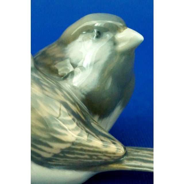 20th Century Porcelain Sparrows Statuette from Royal Copenhagen, Denmark, 1890s-1910s For Sale - Image 11 of 18