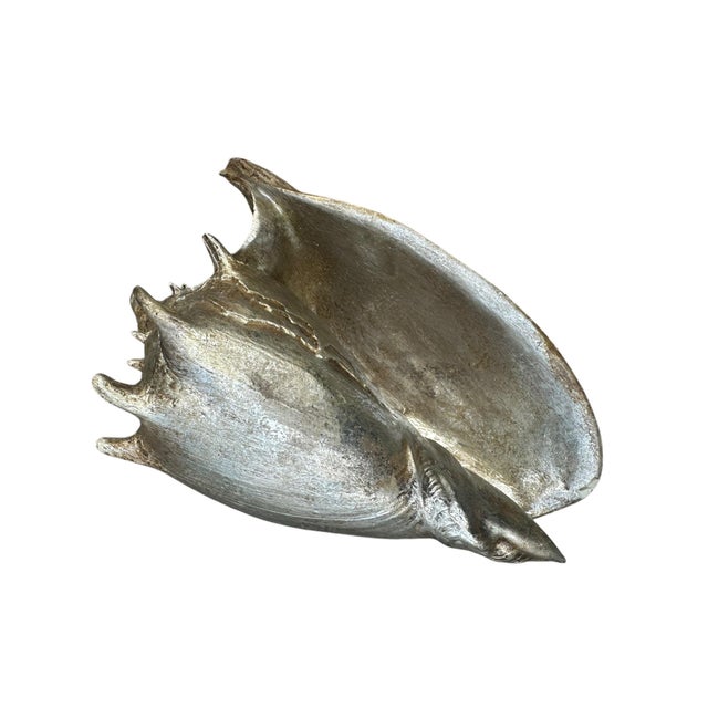 Bring coastal elegance into your home with this silver seashell conch shell table decor. Featuring a beautifully detailed...