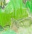 Contemporary Highland Green — 48x44 For Sale - Image 3 of 5