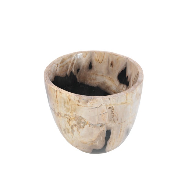 Early 21st Century Petrified Wood Plant Pot by Xyleia Petrified Wood For Sale - Image 5 of 6