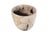 Early 21st Century Petrified Wood Plant Pot by Xyleia Petrified Wood For Sale - Image 5 of 6
