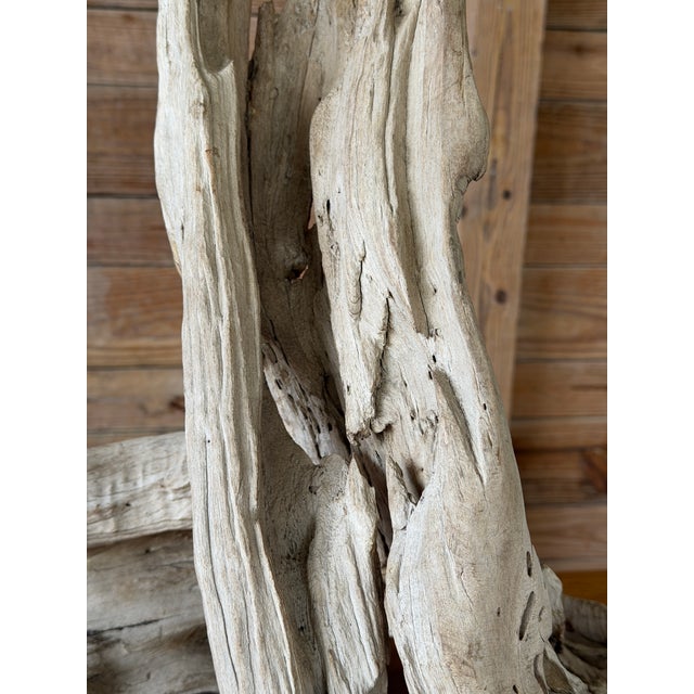 Monumental Sculptural Driftwood Table Lamp, Organic Modern Coastal Decor For Sale - Image 4 of 12