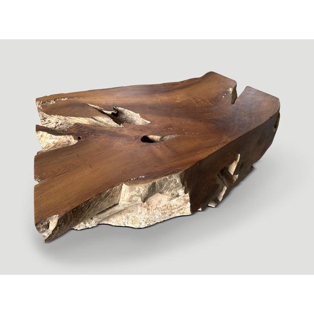 Andrianna Shamaris Impressive Single Teak Root Coffee Table For Sale - Image 4 of 18