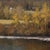 Wood Along the Back Roads by Seth Winegar | Oil on Panel Autumn Aspens Along a River For Sale - Image 7 of 12