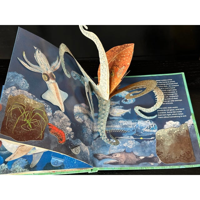 Celadon Sea Animal Pop Up Book For Sale - Image 8 of 8