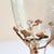 Brass Antique Art Nouveau Brass Tripod Hurricane Candleholder With Etched Glass Shade — Ginkgo & Calla Lily Motif, Circa 1900–1910 For Sale - Image 8 of 12