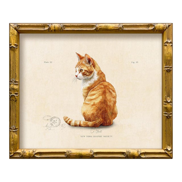 Reproduction Art Print of Vintage “Le Chat" Illustration (Cat 1), Framed For Sale