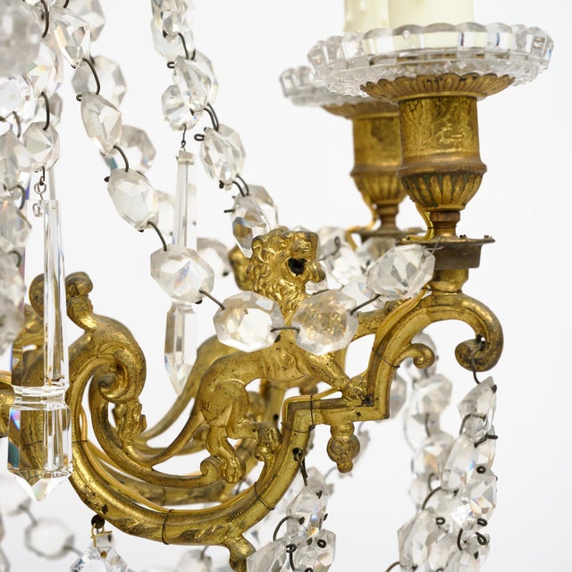 Bronze French Antique Chandelier by Baccarat, Crystal and Bronze For Sale - Image 8 of 9