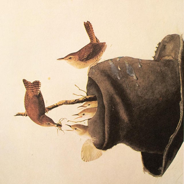 Farmhouse 1966 Vintage Farmhouse Cottage Print "House Wren" After John James Audubon For Sale - Image 3 of 8