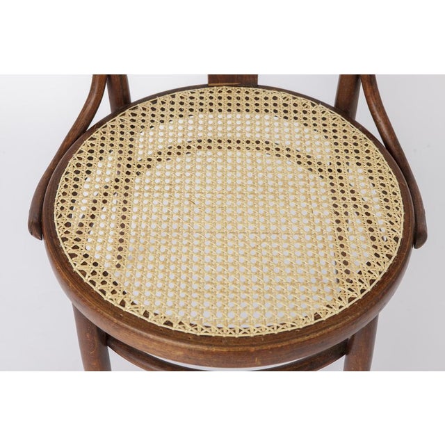 Vintage Bentwood Chair by Fischel, 1940s For Sale - Image 6 of 10