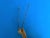 1970s Signed Torch Cut Snail Sculpture, 1974 For Sale - Image 5 of 18