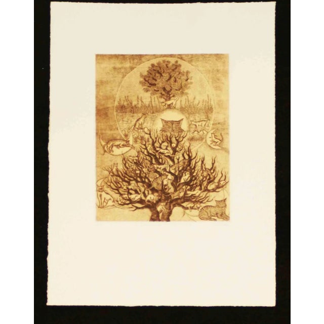 Etching made on zinc plate on magnani-pescia paper 310 gr/m2, paper size 55cm x 41cm, work size 30,5cmx24,5cm . Excellent...