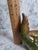 1960s Freeman McFarlin Jardiniere Majolica Pottery Alligator Planter, Attributed For Sale - Image 11 of 14