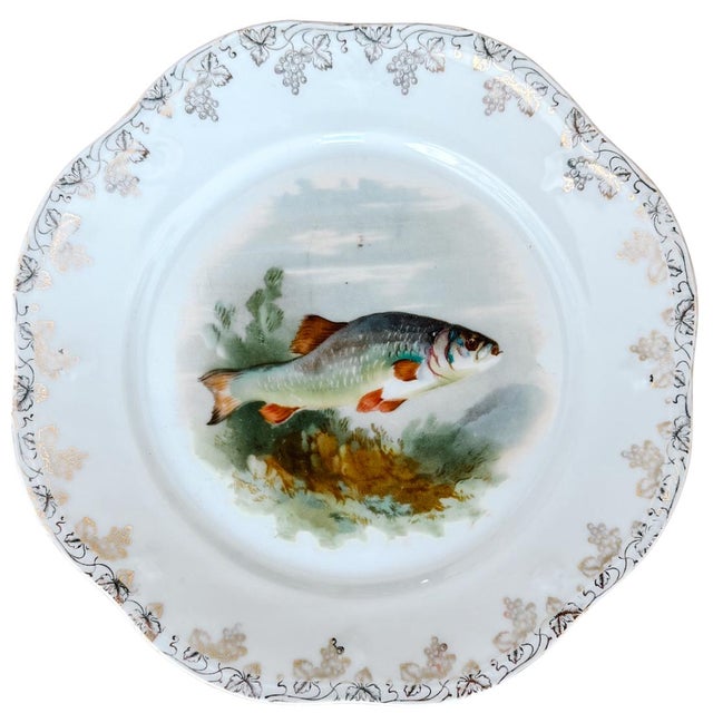 Set of six antique porcelain plates dating back to the turn-of-the-century, likely originating from Germany or Austria...