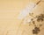 "Tit and Chrysanthemums", Showa Era Japanese Painted Silk Bybu Screen For Sale In Dallas - Image 6 of 18