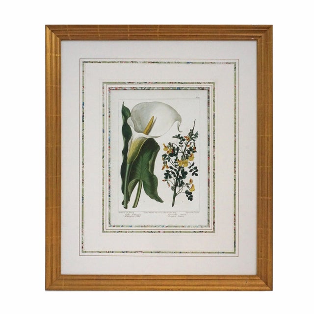 A beautifully matched pair of large botanical prints, presented in marbled French-line matted mounts and gilt frames....