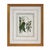 A beautifully matched pair of large botanical prints, presented in marbled French-line matted mounts and gilt frames....