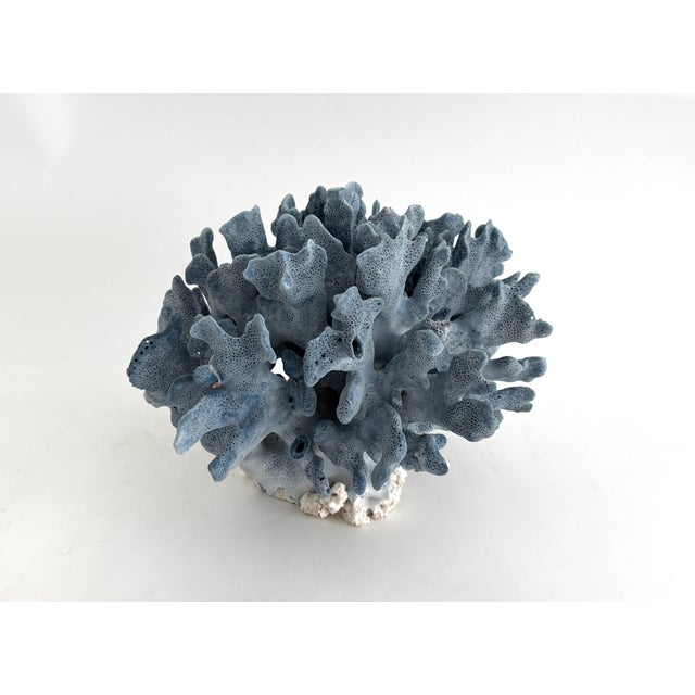 Chinoiserie Natural Blue Coral Specimen Coastal Decor For Sale - Image 3 of 8