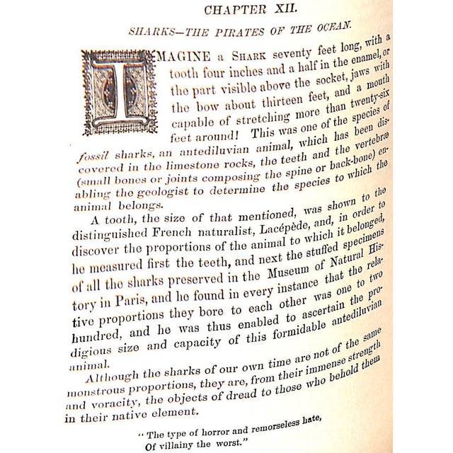 VAN DERVOORT, Prof. J. W. [512] pp. w/ 4-fold map between pages 60 & 61 Union Publishing House 1886 8 1/2" x 6 1/4"