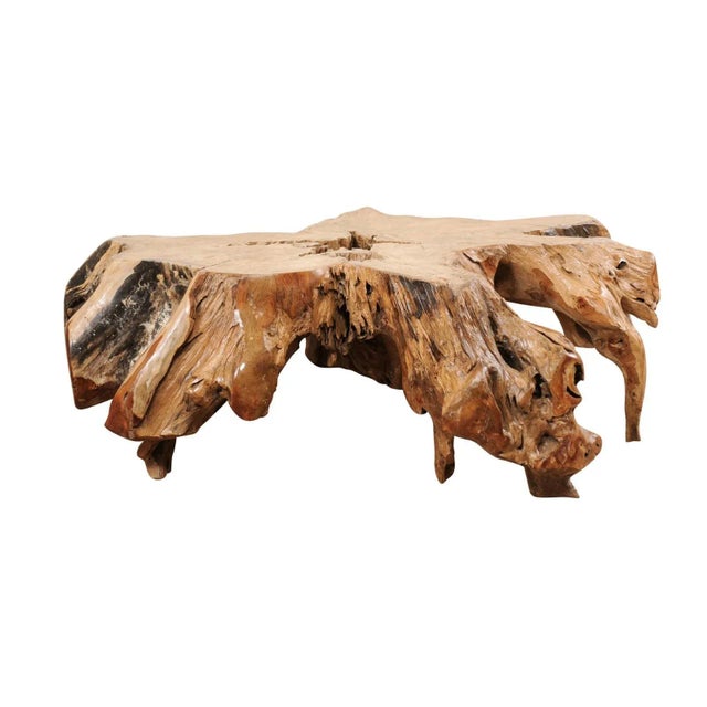 Tropical Teak Root Hardwood Coffee Table For Sale - Image 12 of 12