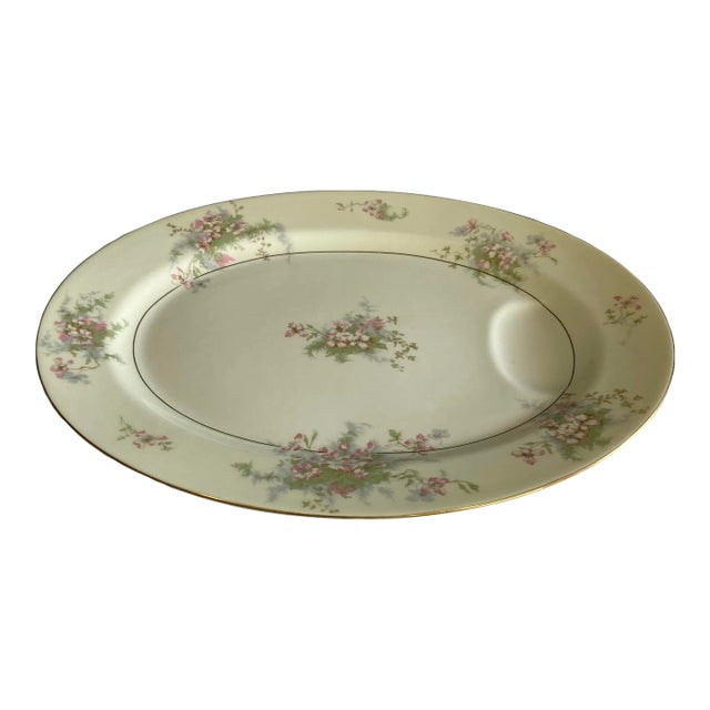 Vintage Theodore Haviland Porcelain Oval Serving Platter For Sale