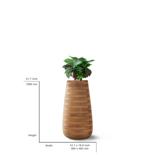 Tuber Planter in Wood by Haldane Martin for Indigenus For Sale - Image 12 of 16