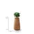 Tuber Planter in Wood by Haldane Martin for Indigenus For Sale - Image 12 of 16