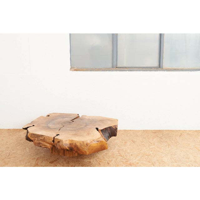Coffee Table in Burl Wood and Walnut Slab For Sale - Image 11 of 12