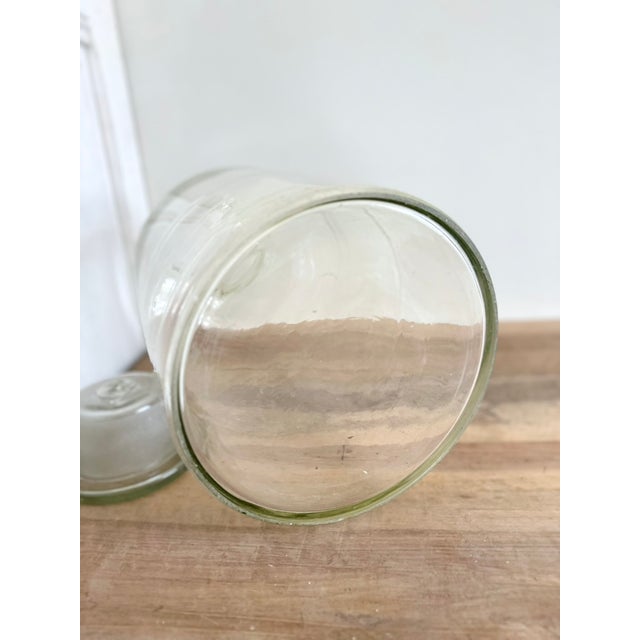 French Laboratory Glass Storage Jar with Fitted Glass Stopper, 1920s For Sale - Image 11 of 16