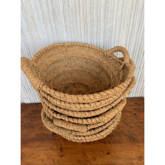 Late 19th Century Late 19th Century Set of 8 Spanish Woven Wicker Olive Grape Harvest Basket For Sale - Image 5 of 18